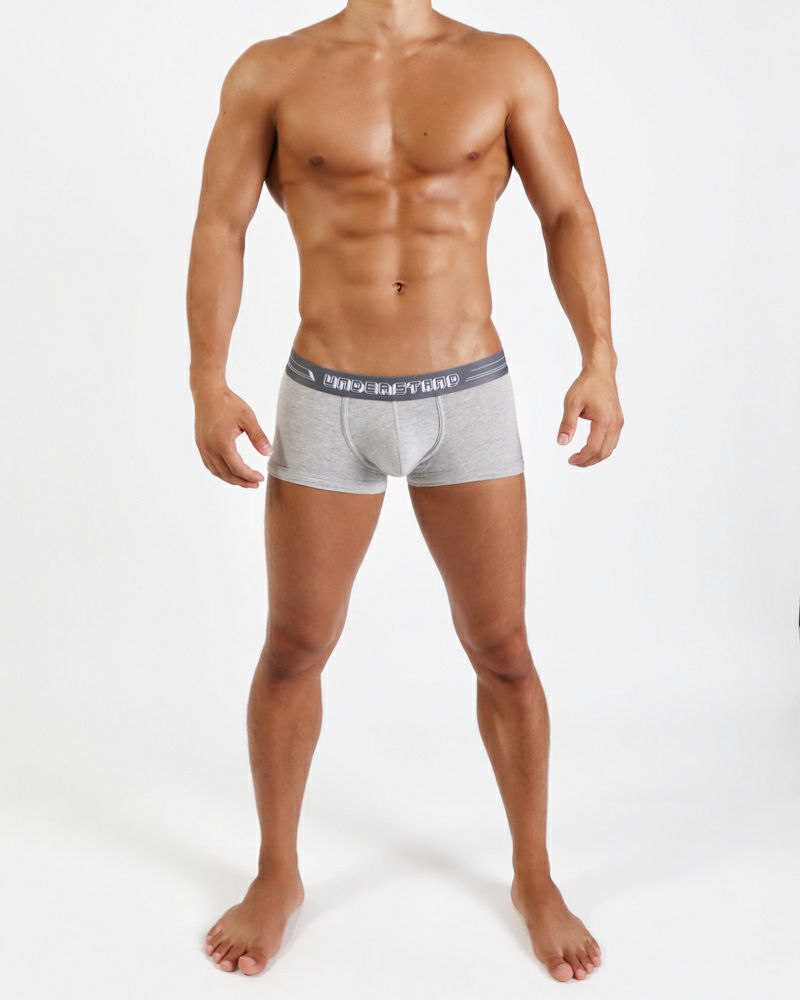 UNDERSTAND アンダースタンド ［アンダー・スタンダード］ ローライズボクサーパンツ （グレー：Grey） メンズ 男性下着 パンツ 無地 ベーシック