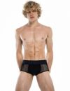 PUMP パンプ メッシュ ボクサーパンツ Oバック SWITCH ACCESS TRUNK PUMP! Underwear メンズ 男性下着