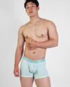 UNDERSTAND アンダースタンド STAMPED モモフィッター ボクサーブリーフ （ミントメロン：Mintmelon） モダール生地 メンズ 男性下着