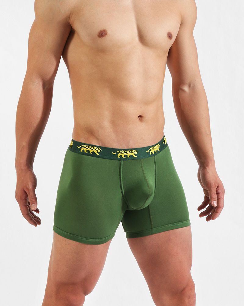 UNDERSTAND アンダースタンド ZOO-PANTS ズーパン モモフィッター ボクサーブリーフ （トラパン：Tiger-Pants） モダール生地 メンズ 男性下着