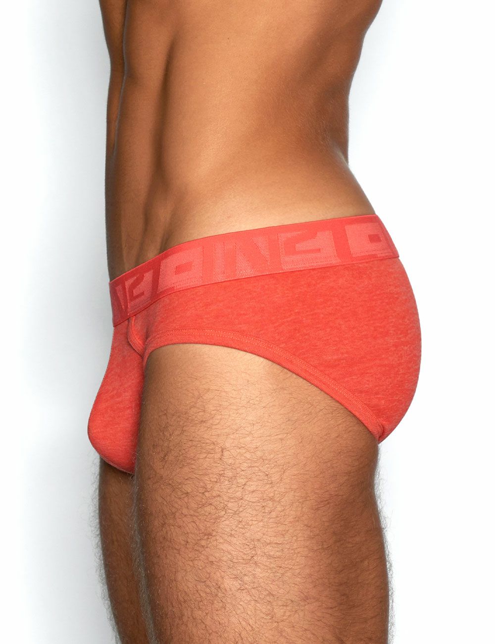 C-IN2 ローライズブリーフ ビキニ HAND ME DOWN LOW NO SHOW PROFILE BRIEF （レミレッド） CIN2 シーインツー メンズ下着 インナー 男性 パンツ アンダーウェア ブランド