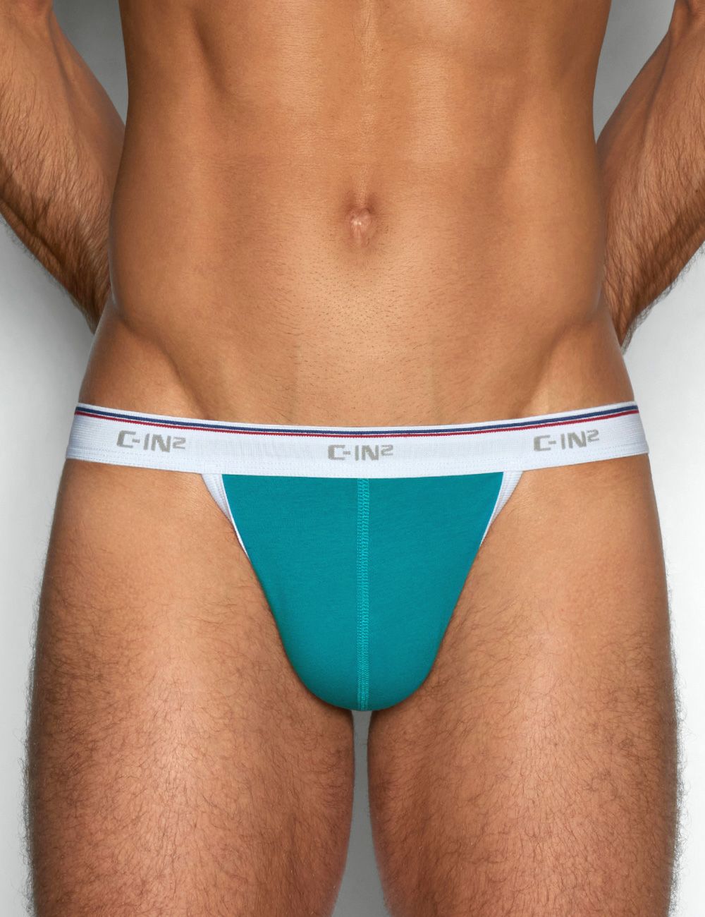 C-IN2 Tバック THROWBACK THONG （タッカーティール） サポーター メンズTバック CIN2 シーインツー メンズ下着 インナー 男性 パンツ アンダーウェア ブランド