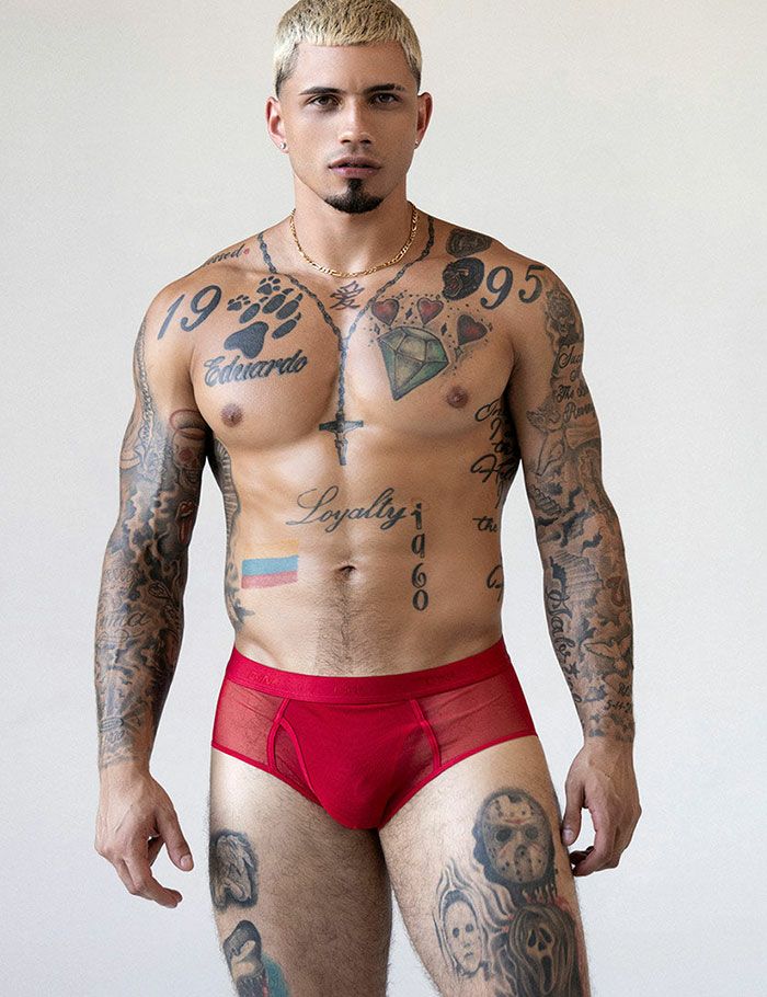 C-IN2 前開き ブリーフ ビキニ SHEER Fly Front Brief （ローワンレッド） シースルー メッシュ CIN2 シーインツー メンズ下着 インナー 男性 パンツ アンダーウェア ブランド