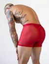 C-IN2 前開き ボクサーパンツ SHEER BOXER BRIEF （ローワンレッド） シースルー メッシュ CIN2 シーインツー メンズ下着 インナー 男性 パンツ アンダーウェア ブランド