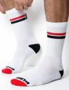 PUMP パンプ ソックス 靴下 （Circuit） スポーツソックス CREW SOCKS PUMP! Underwear メンズ 男性下着