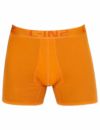 C-IN2 ロングボクサーパンツ 2025 NEW TURMERIC ORANGE