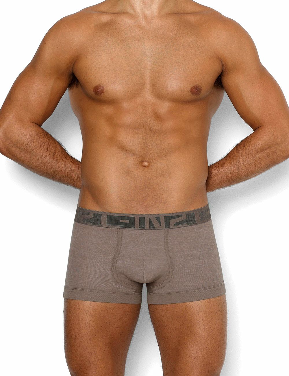 C-IN2 2025新色 ボクサーパンツ HAND ME DOWN MID RISE TRUNK セーブルトープ